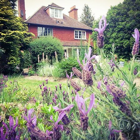 Rosemead Guest House Claygate المظهر الخارجي الصورة